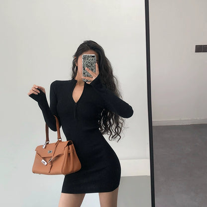 Knitted Long Sleeves Dress with Zipper Sexy Turtleneck