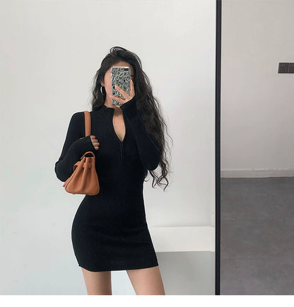 Knitted Long Sleeves Dress with Zipper Sexy Turtleneck