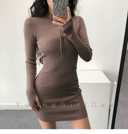 Knitted Long Sleeves Dress with Zipper Sexy Turtleneck