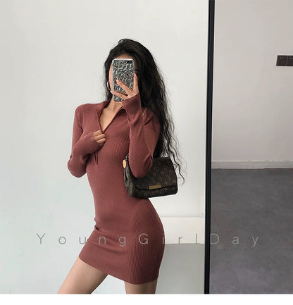 Knitted Long Sleeves Dress with Zipper Sexy Turtleneck